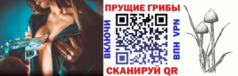 Галлюциногенные грибы Psilocybe наркотики Завитинск
